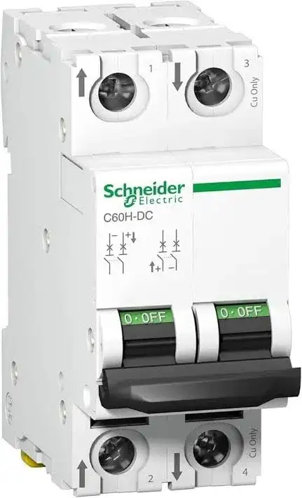 Schneider MCB DP Circuit Breakers C6A10A16A20A32A40A63A-India