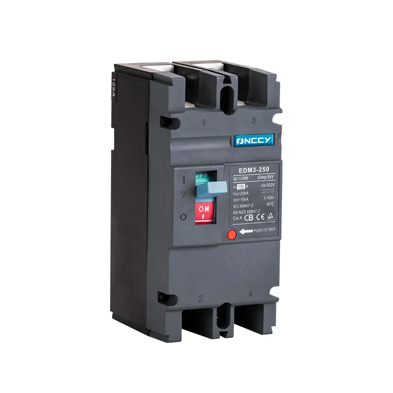 DC Molded Case Circuit Breaker MCCB 500V 125A 2P